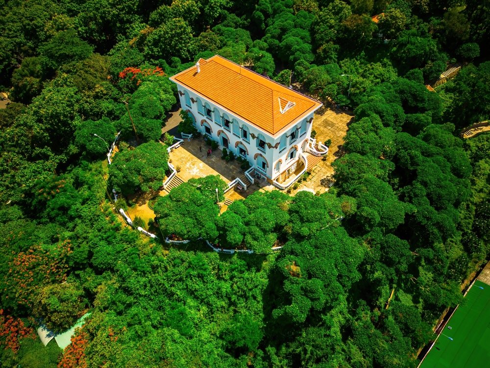 Bạch Dinh