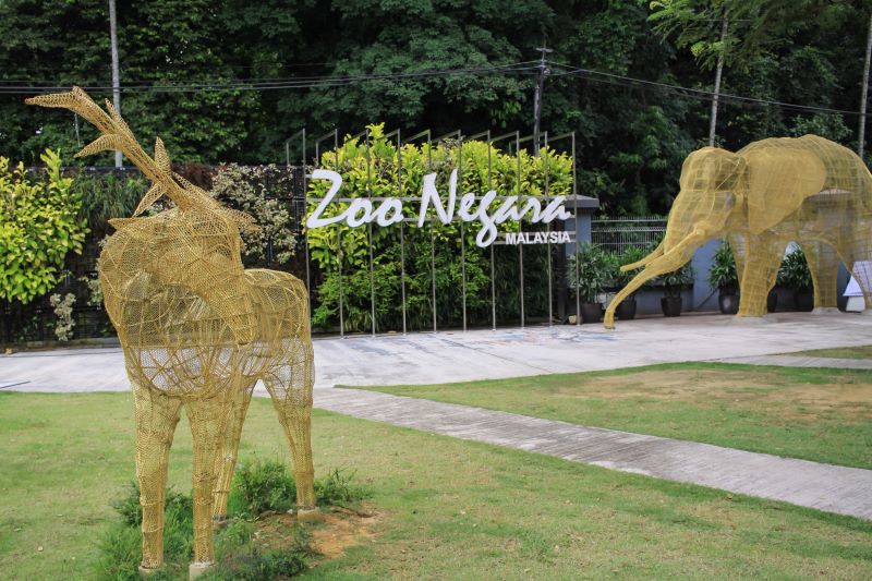 Zoo Negara Malaysia