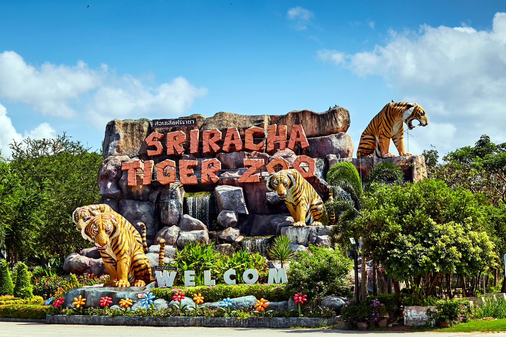 Visit Sriracha Tiger Zoo for families in pattaya