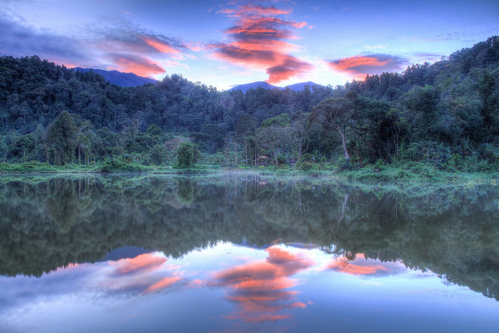 Aktivitas Seru di Situ Gunung