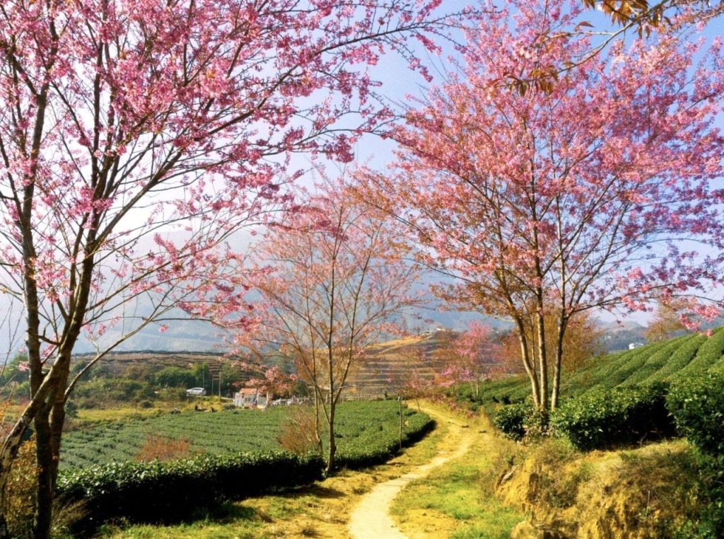 Vị trí địa lý Lào Cai