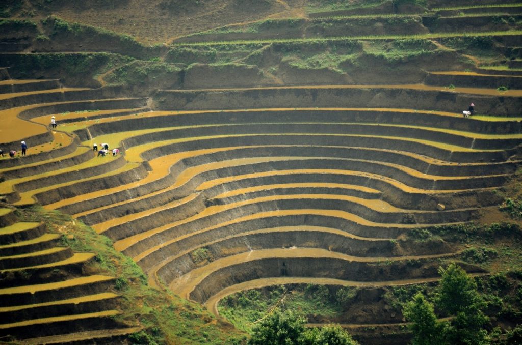 ruộng bậc thang tại Lào Cai