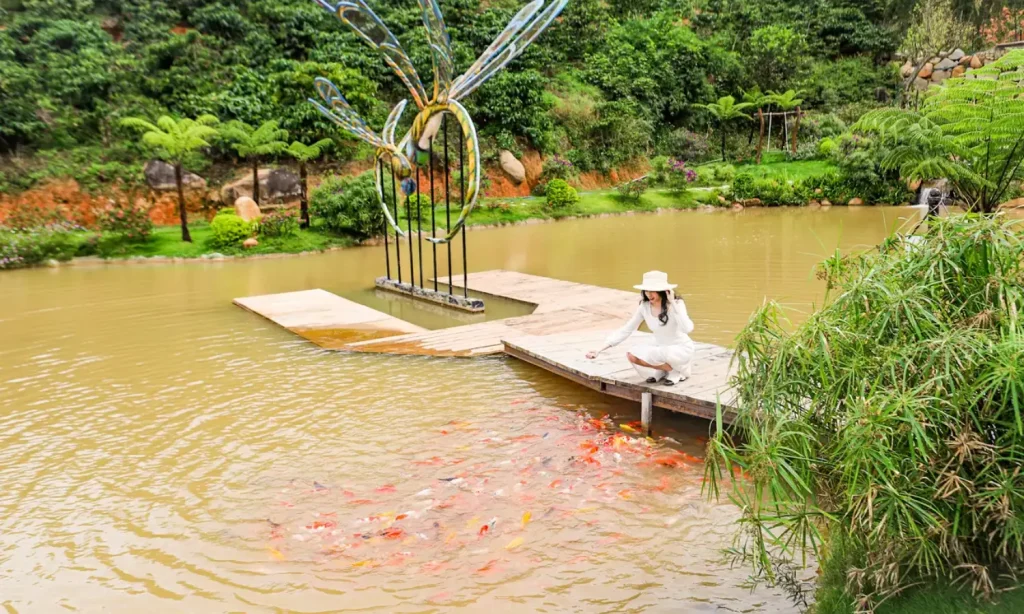 Chuồn Chuồn Bistro Đà Lạt