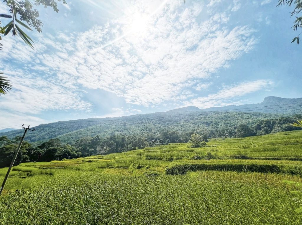 Thanh Hóa thuộc miền nào