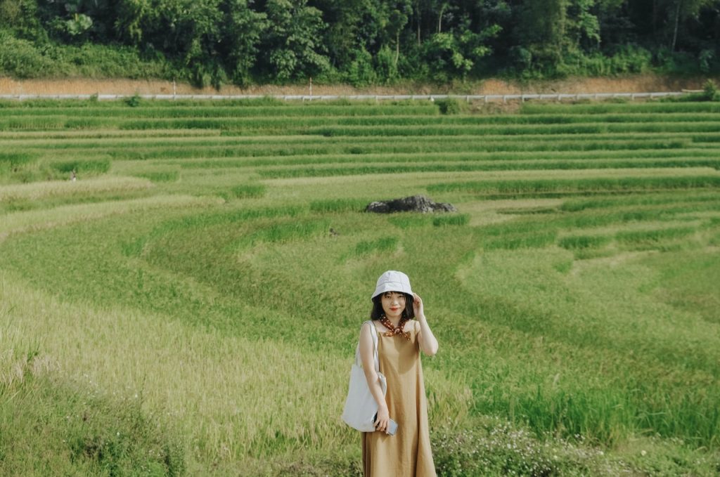 cánh đồng lúa ở Pù Luông