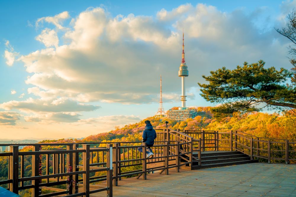 Namsan Tower - Namsan Mountain