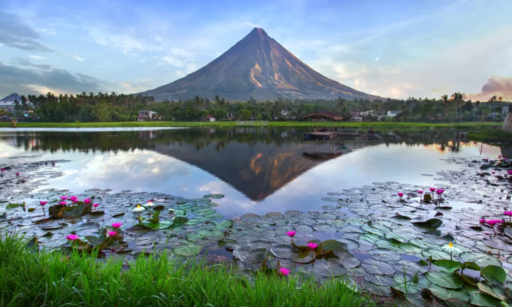 Núi Mayon