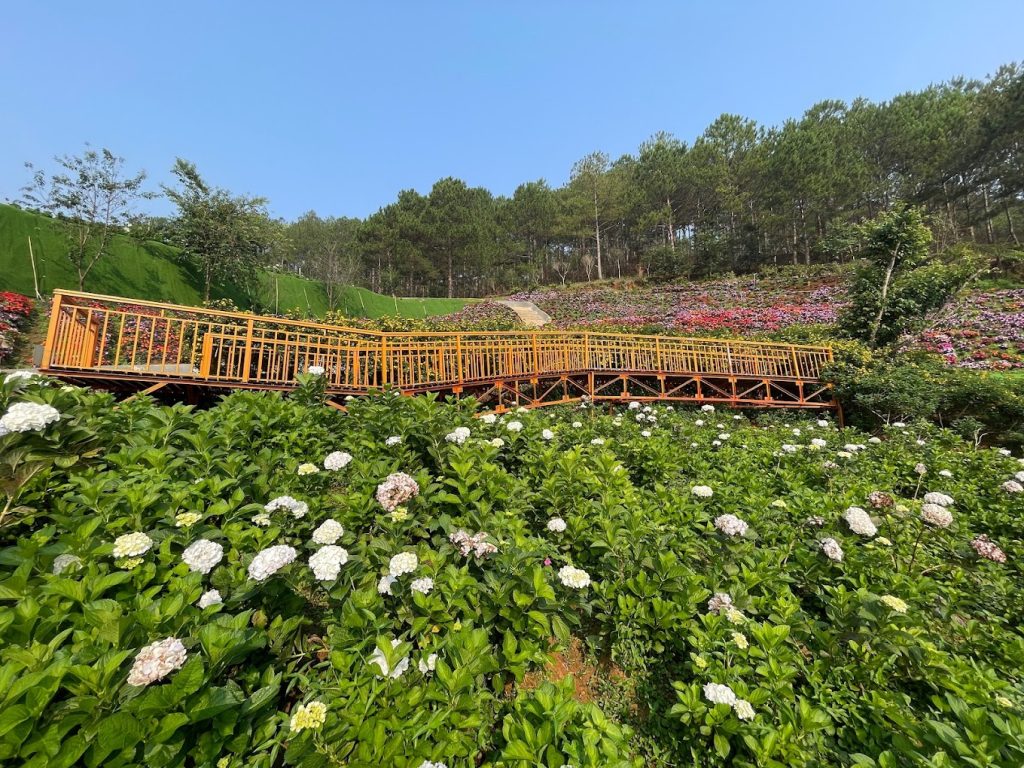 Nông trại Puppy Farm