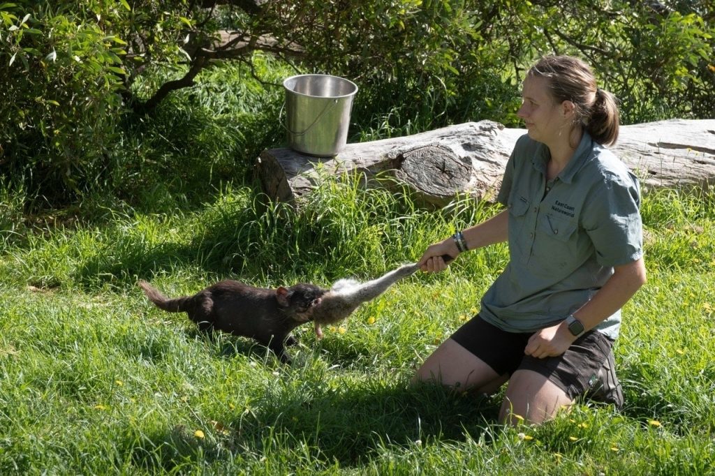 tour tham quan Port Arthur và quỷ Tasmania 
