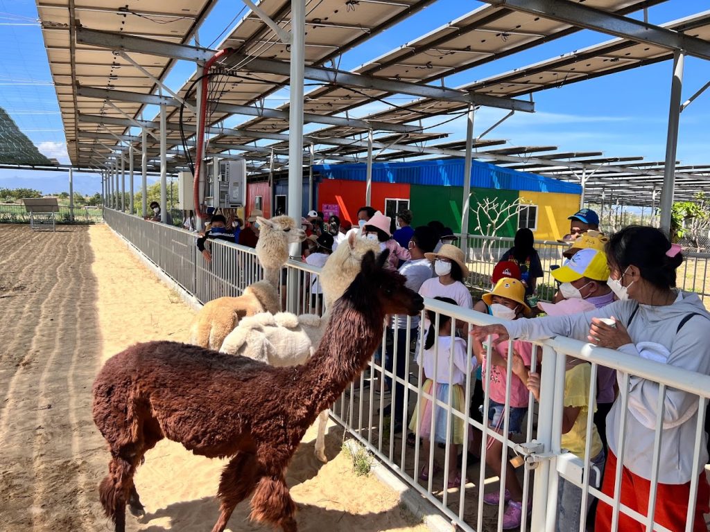 Vuon thu Zoodoo Da Lat