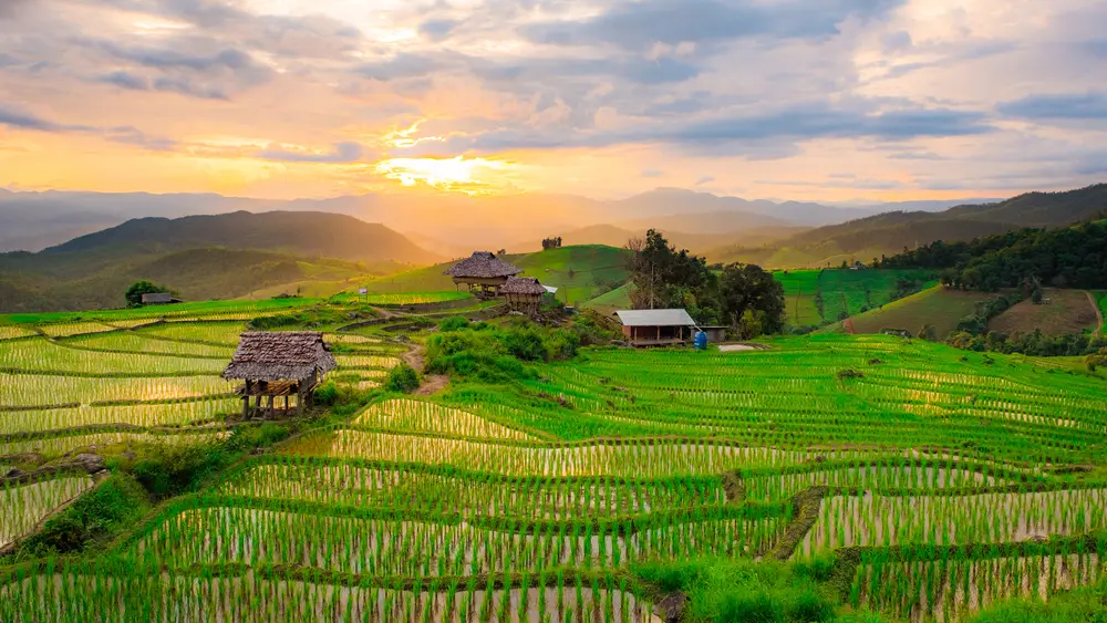 Ban Pa Bong Piang
