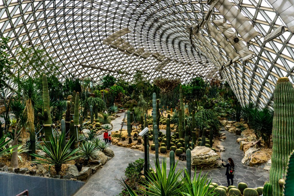 สวนพฤกษศาสตร์เซี่ยงไฮ้ (Shanghai Botanical Garden)