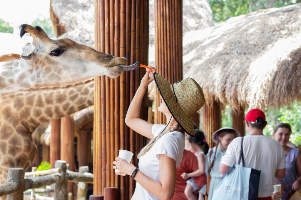 vinpearl safari phú quốc