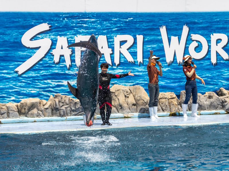 Safari World Bangkok  - Địa điểm du lịch Bangkok