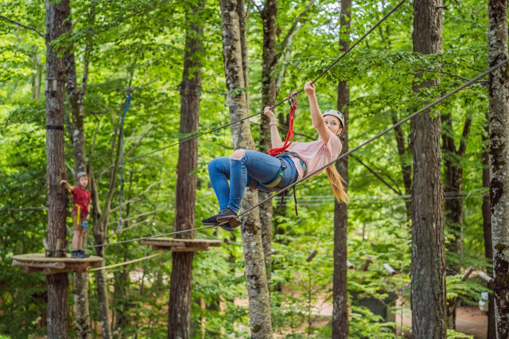Tree Top Adventure Park