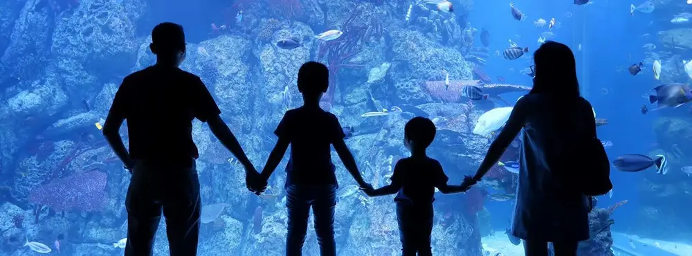 Landmark Terkenal & Tempat Wisata Dekat Central Park Jakarta