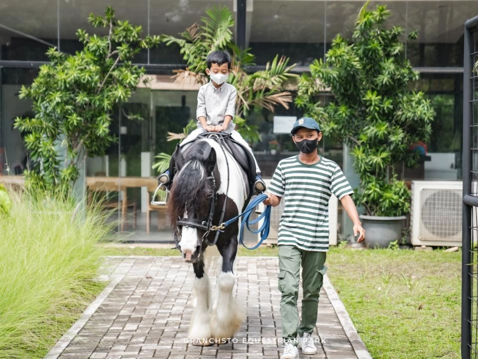 Branchsto BSD