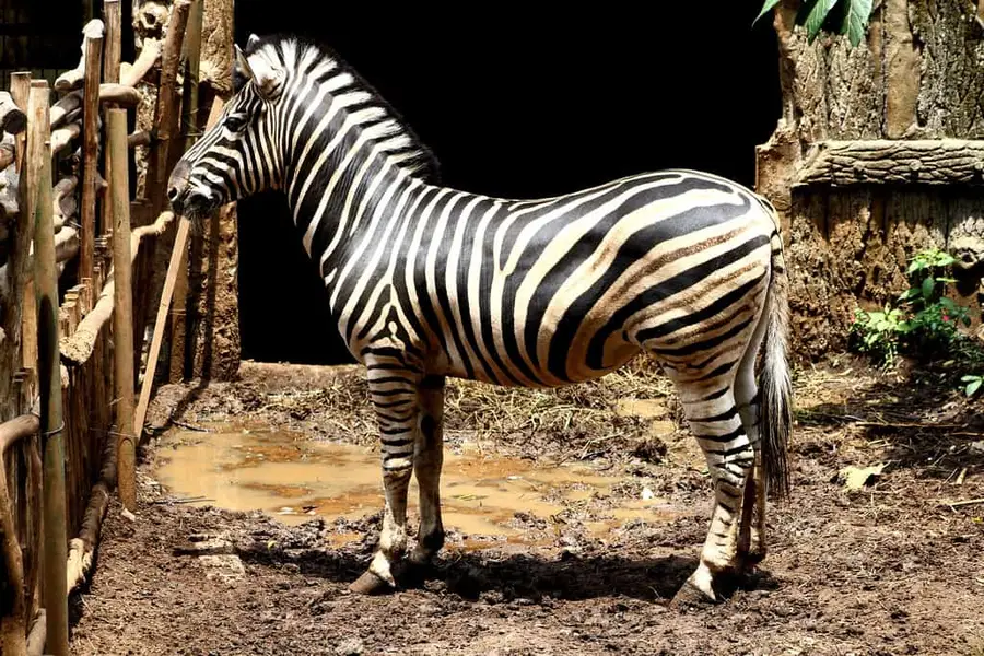 Landmark Terkenal & Tempat Wisata Dekat Selamat Trans Pasteur