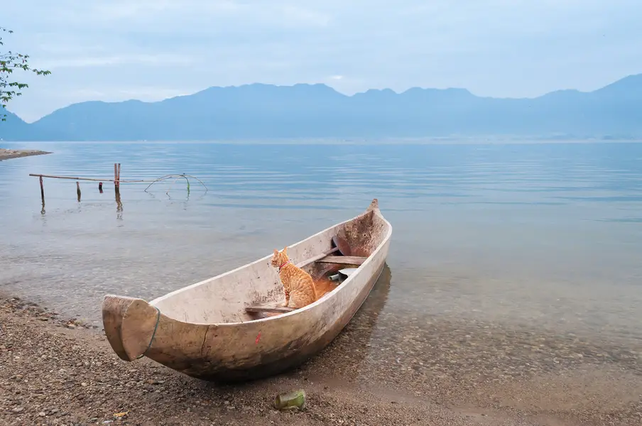Landmark Terkenal & Tempat Wisata Dekat Kantor Perwakilan ALS Padang
