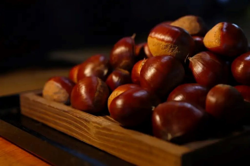 Du lịch Nhật Bản mùa thu là cơ hội để bạn thưởng thức hạt dẻ – món quà thiên nhiên tuyệt vời của mùa thu xứ sở Phù Tang 