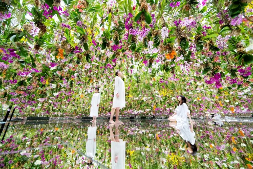 Trải nghiệm triển lãm teamLab Planets Tokyo | Du lịch Nhật Bản mùa thu