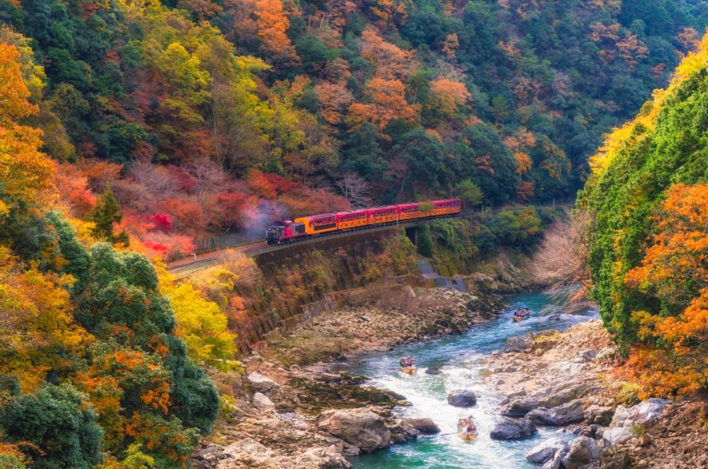 Hành trình ngắm cảnh trên tàu Sagano Romantic Train tại cố đô Kyoto là trải nghiệm không thể bỏ lỡ khi du lịch Nhật Bản mùa thu 