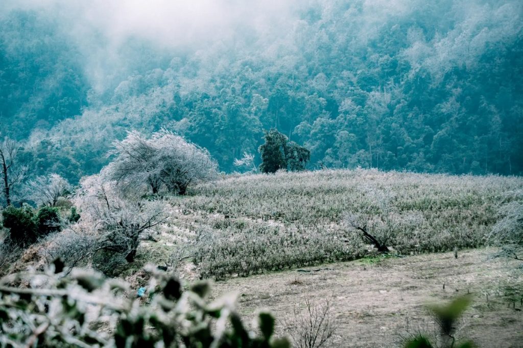 Cảnh vật Sapa mùa đông mang một màu trắng xóa tinh khôi | Du lịch Sapa mùa đông