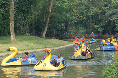  Perahu Angsa
