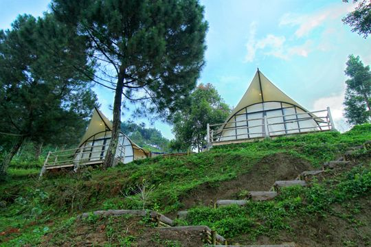  Cimon Urban Camp