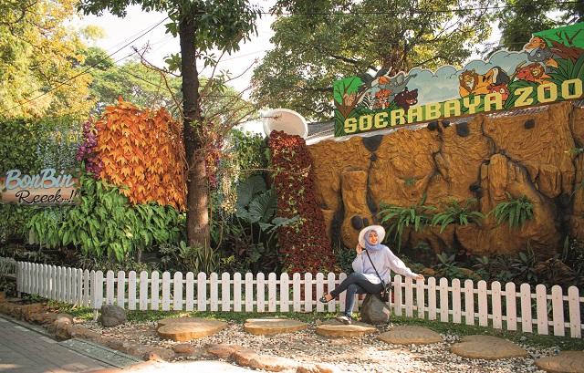 Cara ke Kebun Binatang Surabaya dari Stasiun Wonokromo