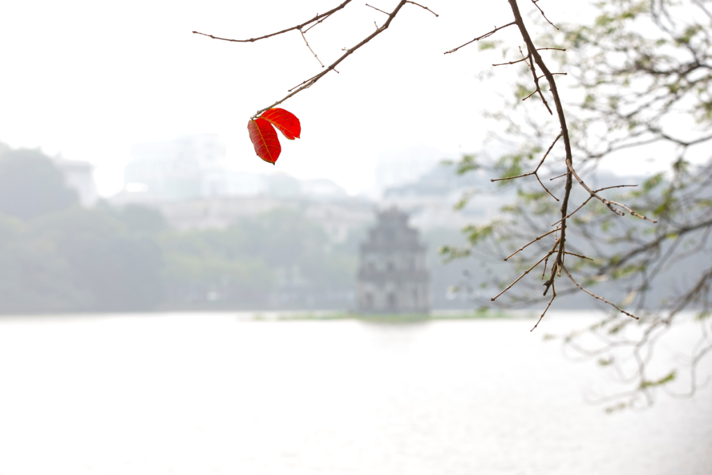 Có một Hà Nội vào đông dịu dàng mà xao xuyến | Du lịch mùa đông