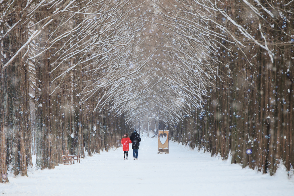 Lạc lối giữa xứ sở kim chi mùa đông tuyết trắng | Du lịch mùa đông