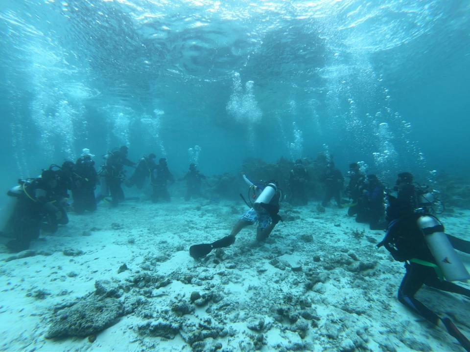 Daya Tarik Pulau Hoga