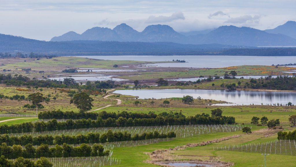 Devil's Corner winery and The Hazards mountain range in Apslawn, Tasmania, Australia