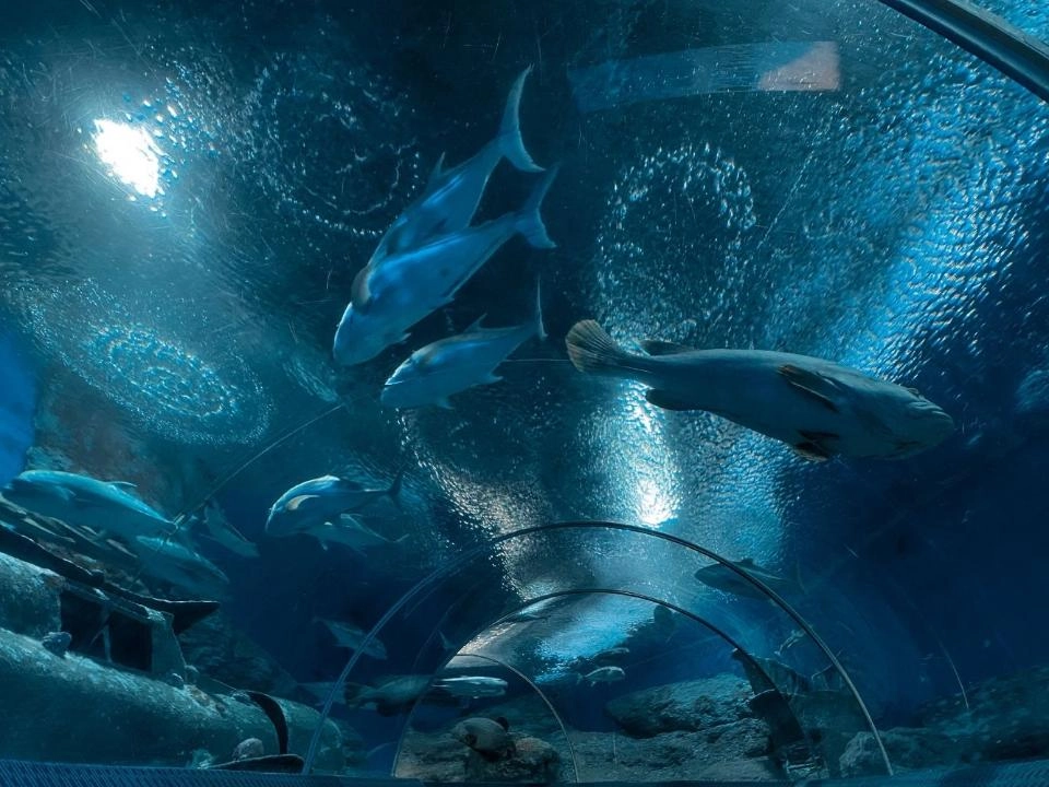 ที่เที่ยวชลบุรี