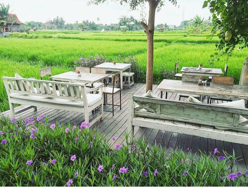 Nook Bali - hotel view sawah di Bali