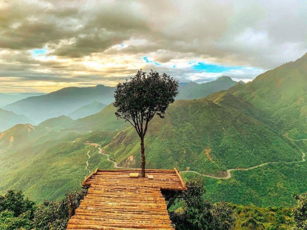 Cây Cô Đơn lặng lẽ nằm trên đèo Ô Quy Hồ | Cảnh đẹp Sapa