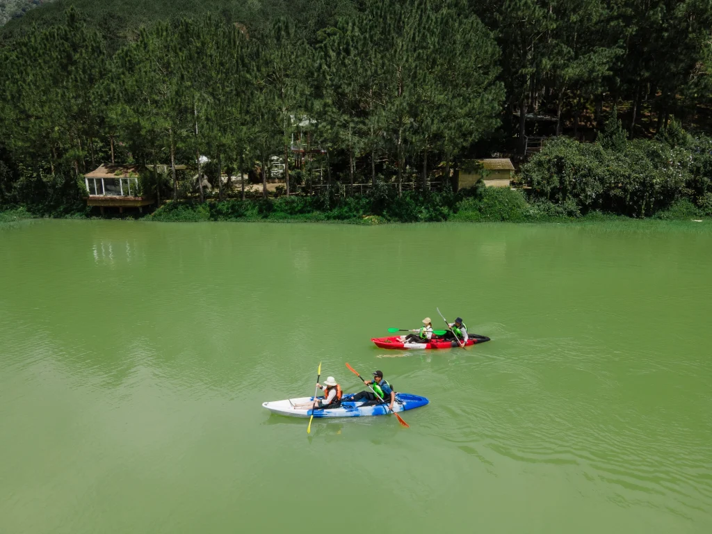 Tham gia chèo thuyền kayak trên dòng suối mát lành trong khi ngắm nhìn rừng thông xanh mát | Đà Lạt có gì chơi