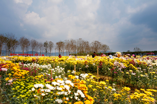 ที่เที่ยวโคราช