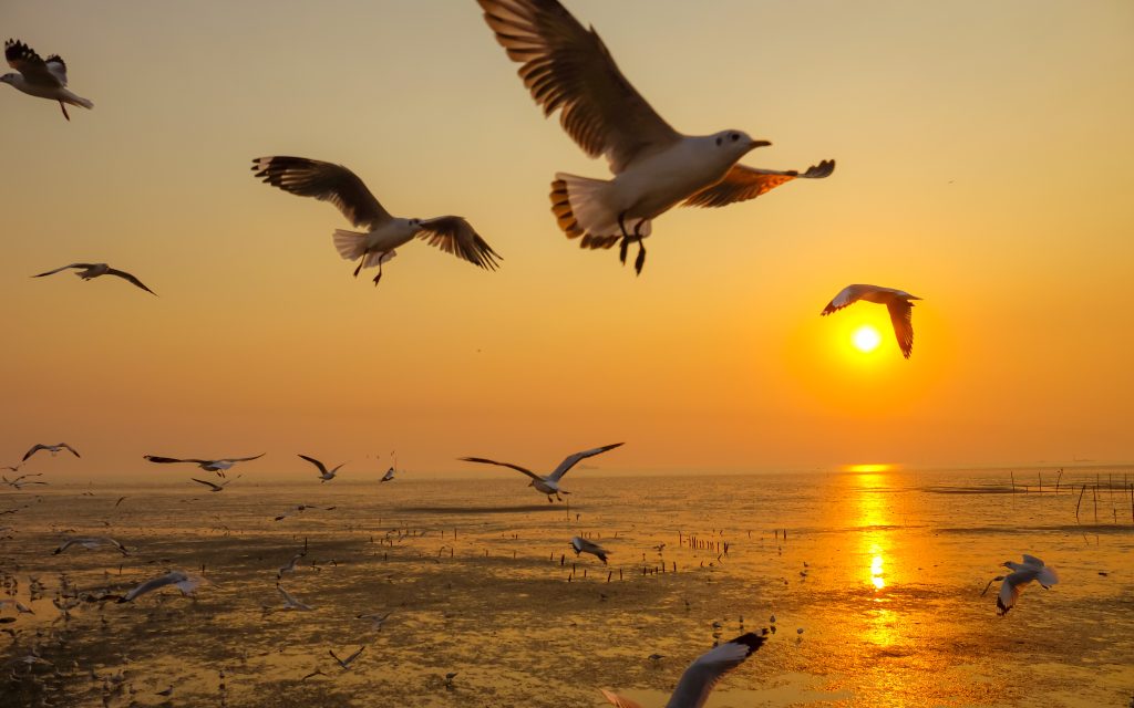 ที่เที่ยวใกล้กรุงเทพ ถ่ายรูปสวย บรรยากาศดี