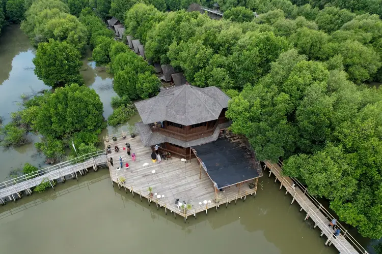 Ekosistem Mangrove yang Terjaga di Pantai Baros