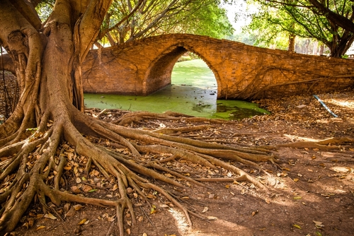 สะพานป่าดินสอ - ที่เที่ยวอยุธยา