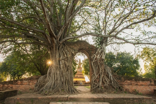 วัดพระงาม - ที่เที่ยวอยุธยา