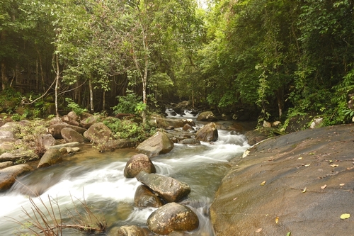 ที่เที่ยวระยอง น้ำตกเขาชะเมา