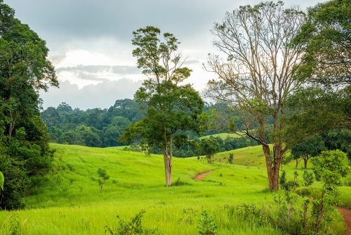 เที่ยวเขาใหญ่หน้าฝน