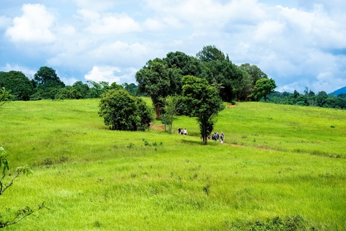 ที่เที่ยวเขาใหญ่