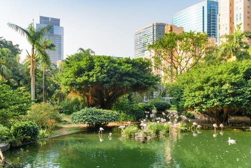 Kowloon Park