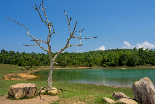อุทยานแห่งชาติเขาใหญ่ ที่เที่ยวนครราชสีมา