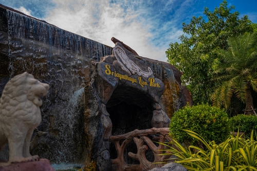 16. ศรีอยุธยา ไลอ้อน ปาร์ค - ที่เที่ยวอยุธยา