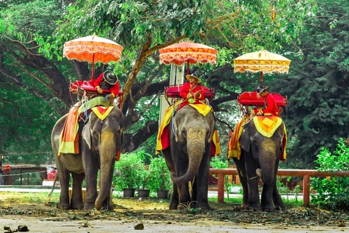 วังช้างอยุธยา แล เพนียด - ที่เที่ยวอยุธยา